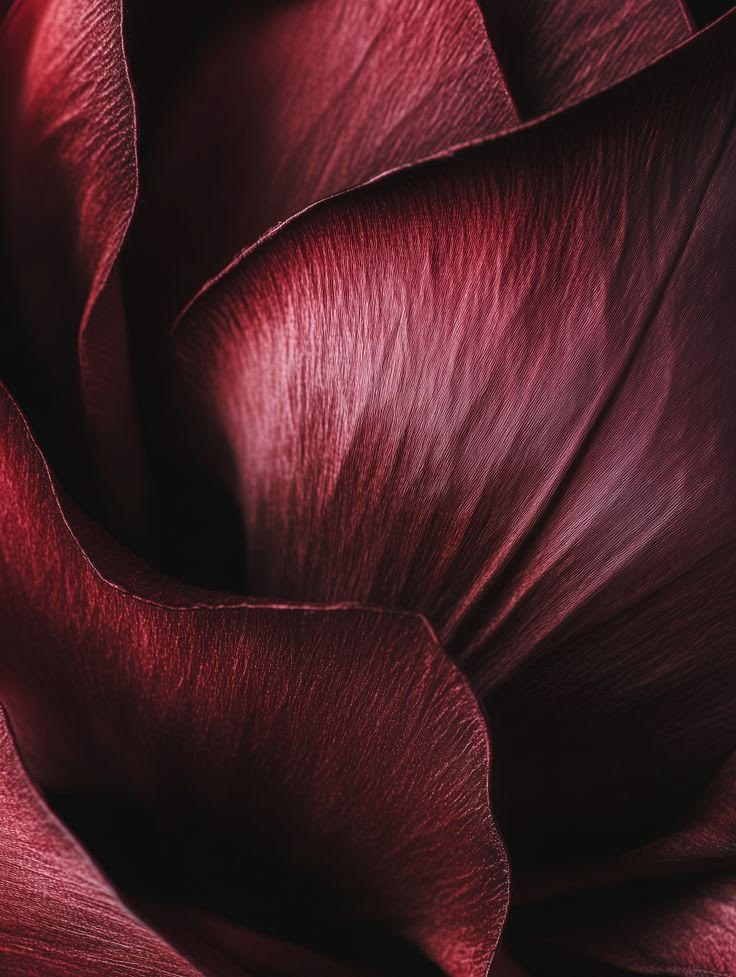 Close-up folds of burgundy silk